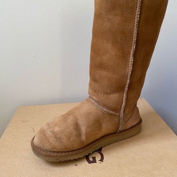 Tall UGGS in Chestnut - Picture 9 of 14